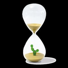  WD Sablier Décor Cactus, en borosilicate  