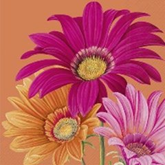 Ihr  Cocktail Napkins JOYFUL GERBERA orange  25X25