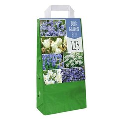   BULBE GARDEN BLUE  125 bulbes / sachet