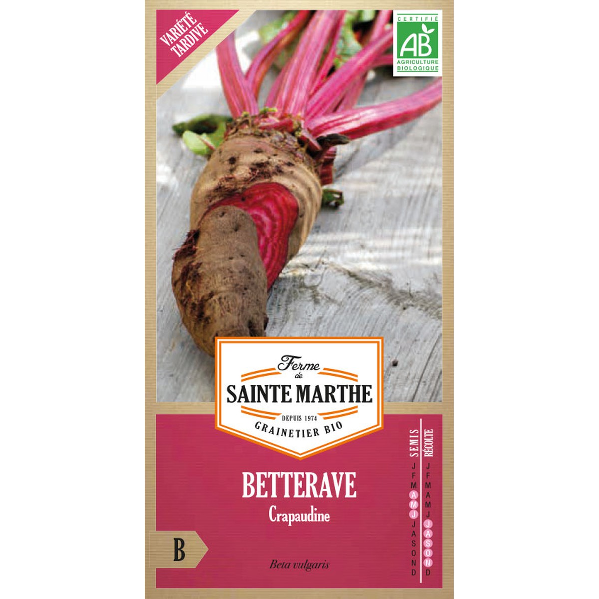 Ferme de Sainte Marthe  Betterave Crapaudine  Environ 150 Graines