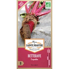 Ferme de Sainte Marthe  Betterave Crapaudine  Environ 150 Graines