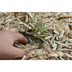   Paillis organique Miscanthus 150L  150L