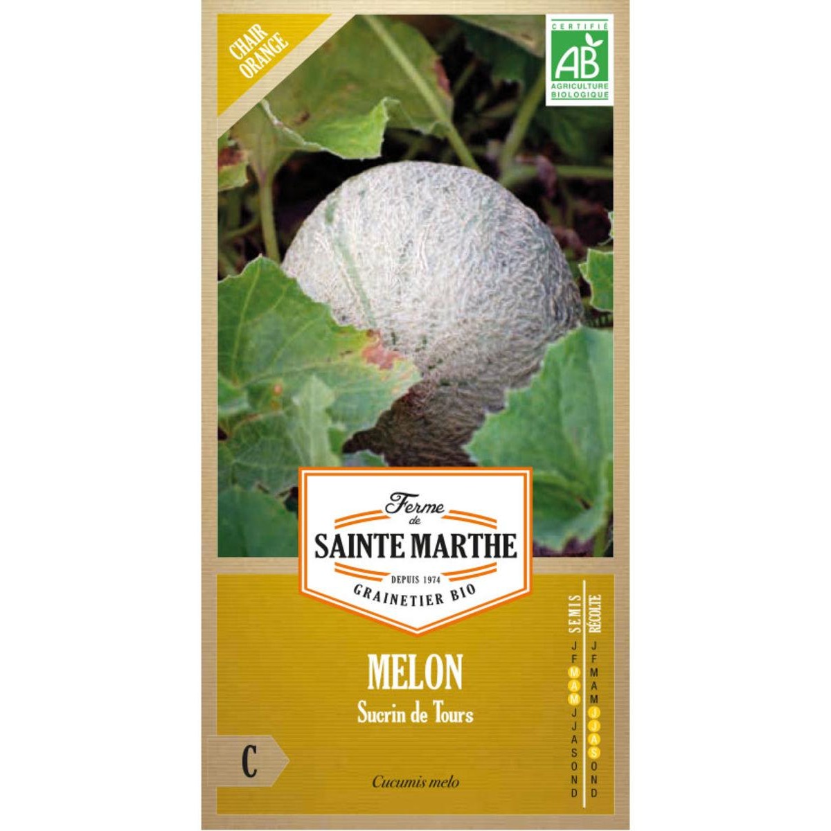 Potagers Ferme De Sainte Marthe Melon Sucrin De Tours Environ 15 Graines Schilliger 8146