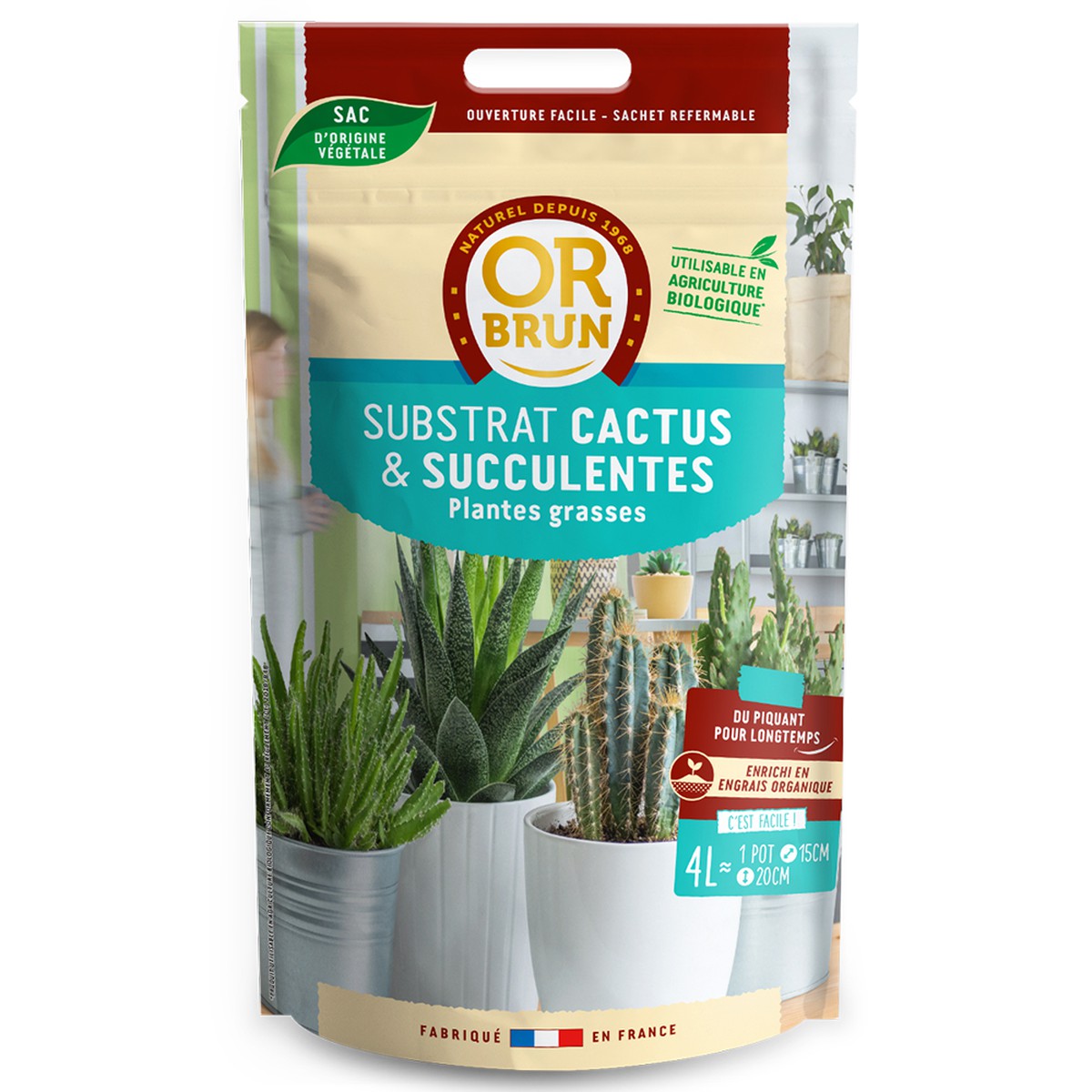 Cactus, Or brun Terreau Cactus Et Succulentes 4L 4L