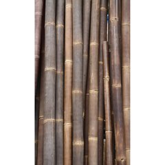Schilliger Sélection Bamboo poles & sticks Grand Bambou Asiastyle  200x11x11cm