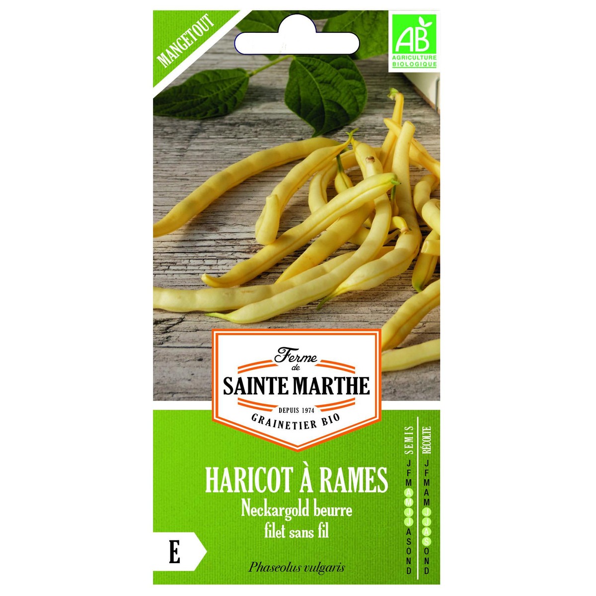 Ferme de Sainte Marthe  Haricot à Rames Neckargold Beurre Filet Sans Fil  env 190 graines