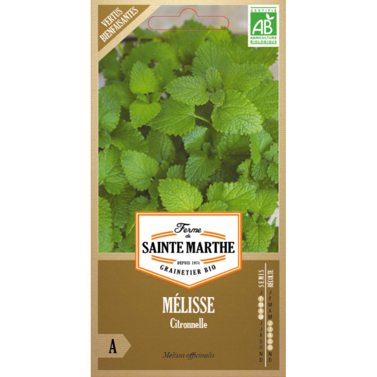 Ferme de Sainte Marthe  MELISSE Citronnelle  Environ 800 Graines