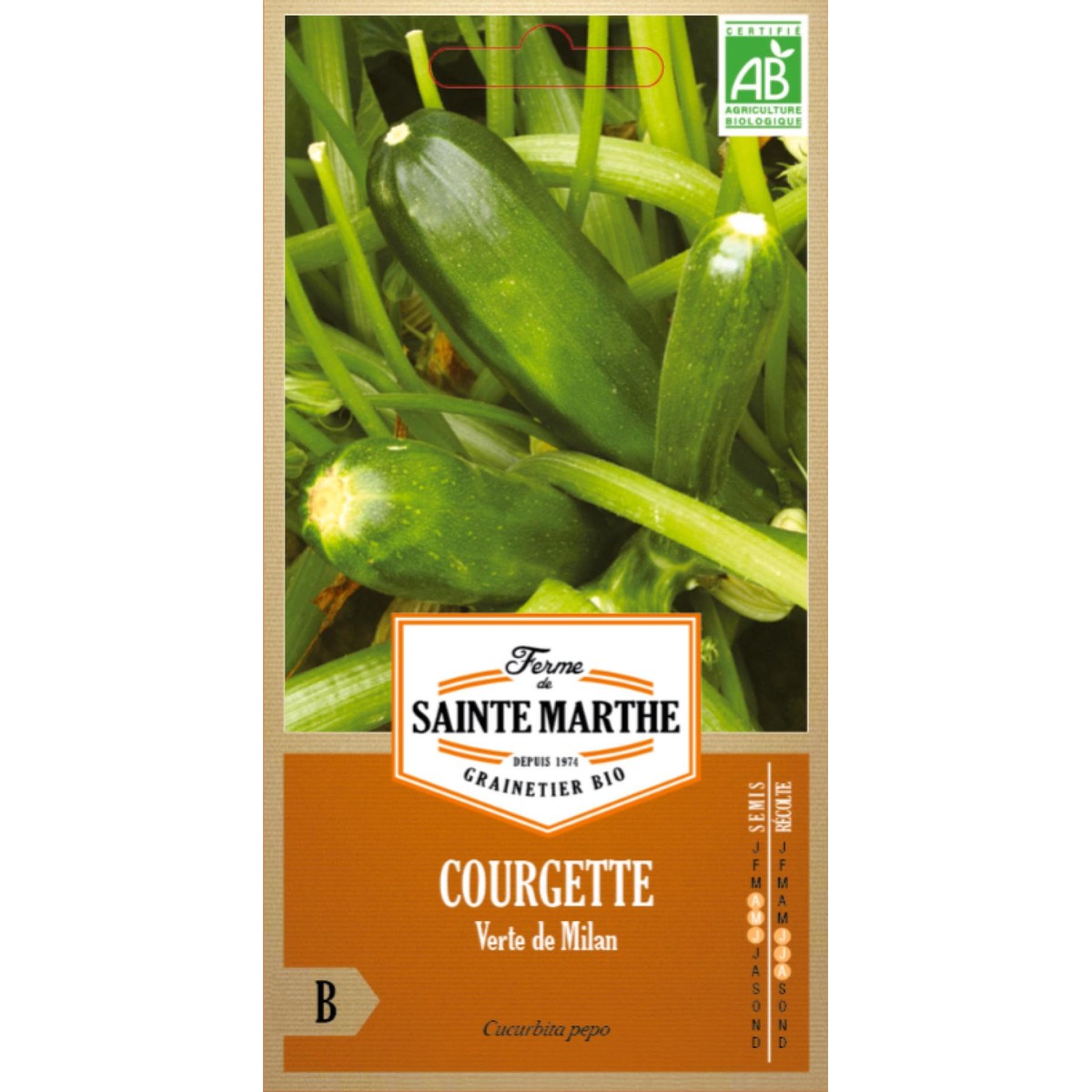 Ferme de Sainte Marthe  COURGETTE Verte de Milan  Environ 15 Graines