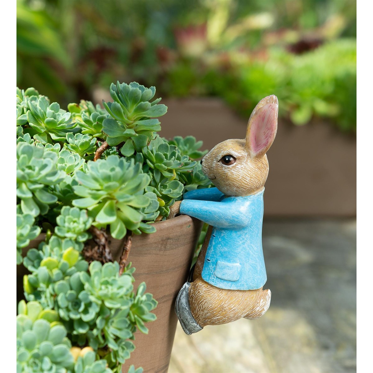  Peter Rabbit Figurines Peter Lapin Suspendu  11x4x65.5cm