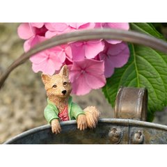  Peter Rabbit Figurine Renard Mr Tod  10x4.5x6cm