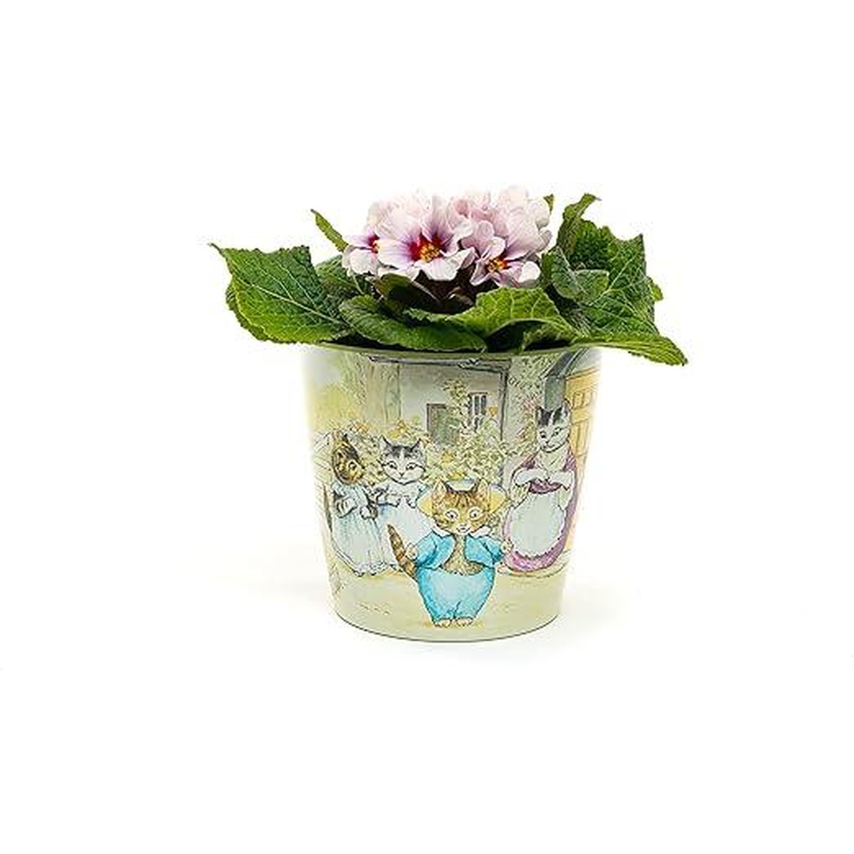  Peter Rabbit Set de 3 Eco-Pots Peter Rabbits N°2  12.5x10cm