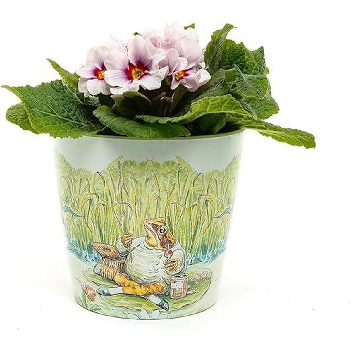  Peter Rabbit Set de 3 Eco-Pots Peter Rabbits N°2  12.5x10cm